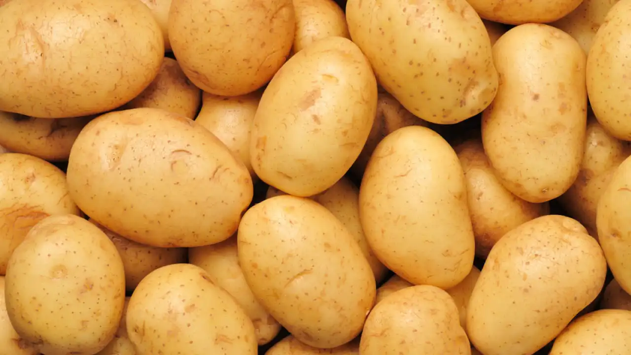 Картошка выводит из Организма лишнюю воду